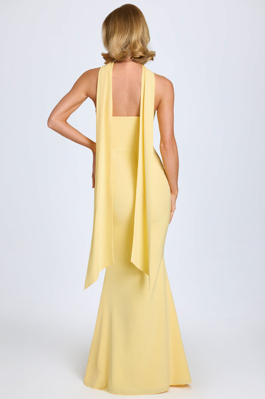Seleniya maxi dress