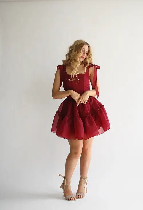 Siena mini dress- in scarlet red